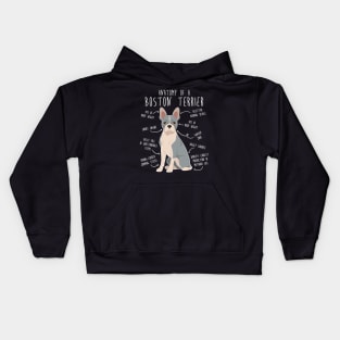 Blue Boston Terrier Dog Anatomy Kids Hoodie